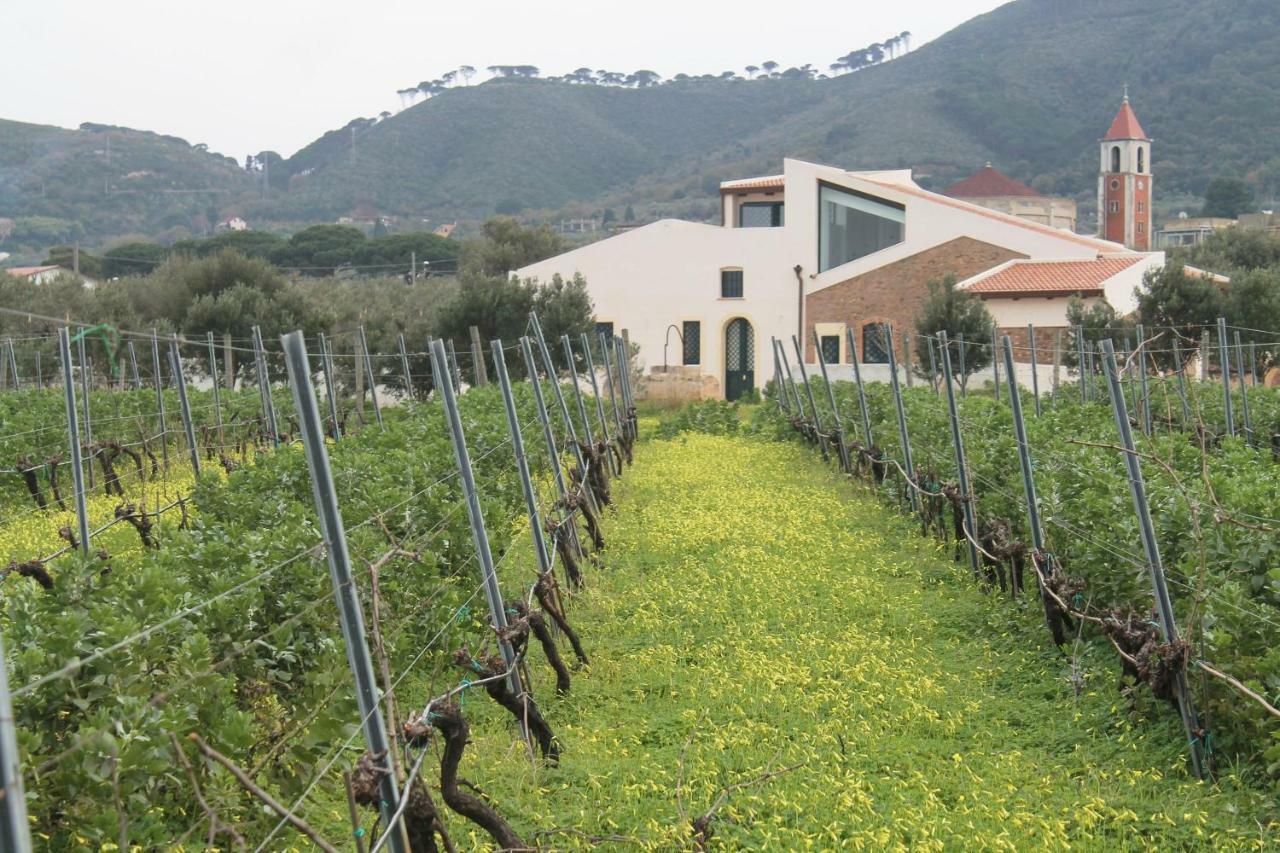 Tenuta Rasocolmo Mesina Exterior foto